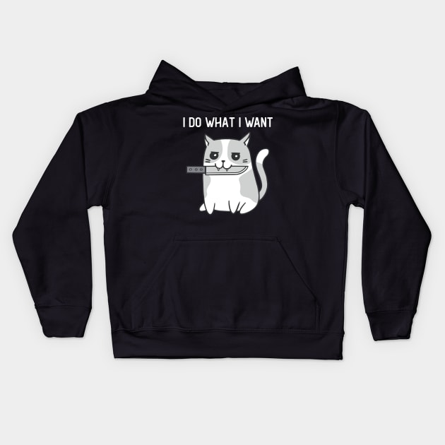 I Do What I Want Funny Cat With Knife Kids Hoodie by Visual Vibes